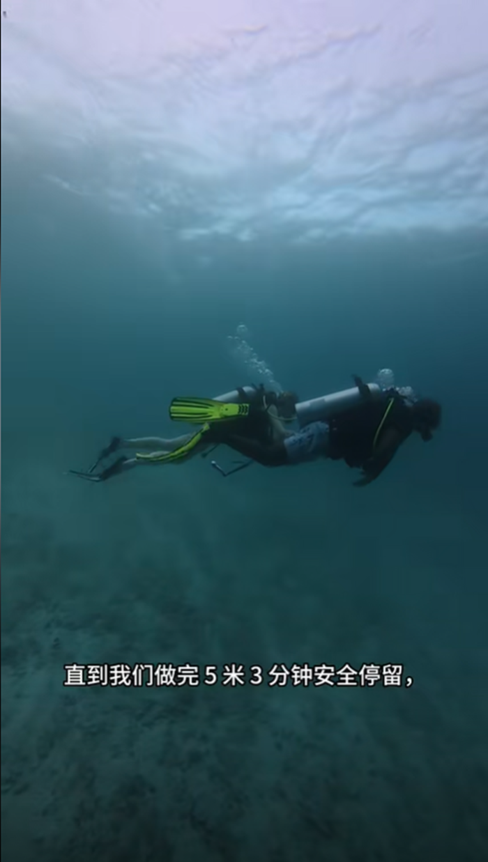 ดำน้ำ ดำน้ำ