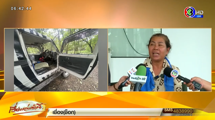 สิงโตทำร้ายคน สิงโตทำร้ายคน