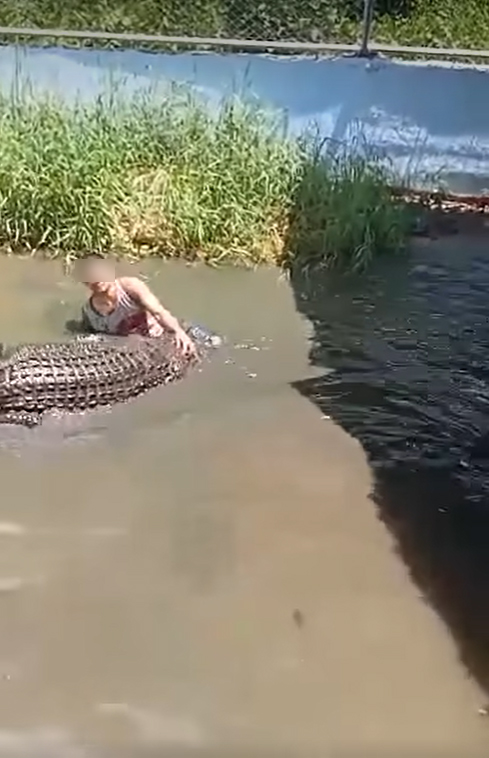 ชายโดดลงกรงจระเข้ นั่งชิลนึกว่าของปลอม ชายโดดลงกรงจระเข้ นั่งชิลนึกว่าของปลอม