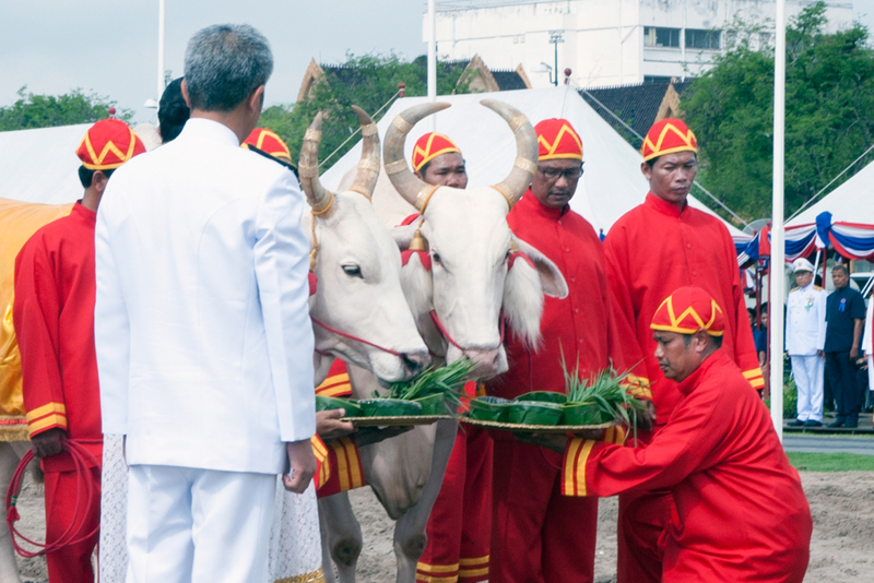 วันพืชมงคล 2568 วันพืชมงคล 2568