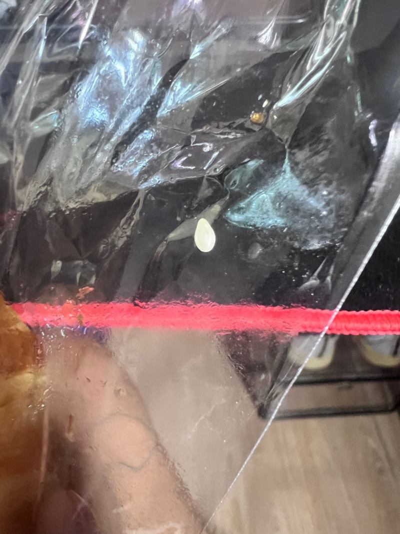 ขนมปังเซเว่น ขนมปังเซเว่น