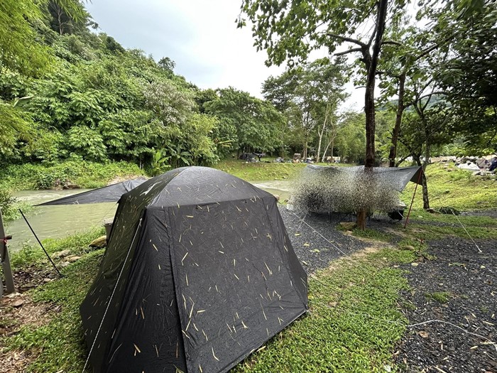 ไข้รากสาด ไข้รากสาด