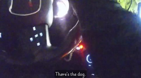 ฮีโร่ 4 ขา พาตำรวจไปช่วยคุณยาย ฮีโร่ 4 ขา พาตำรวจไปช่วยคุณยาย