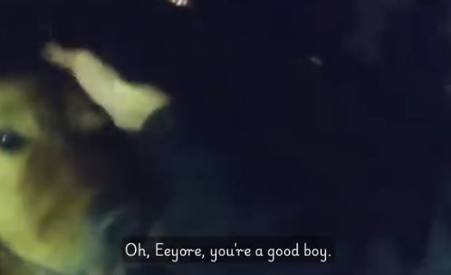 ฮีโร่ 4 ขา พาตำรวจไปช่วยคุณยาย ฮีโร่ 4 ขา พาตำรวจไปช่วยคุณยาย