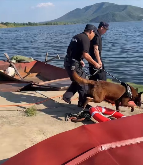 สุนัขตำรวจ สุนัขตำรวจ