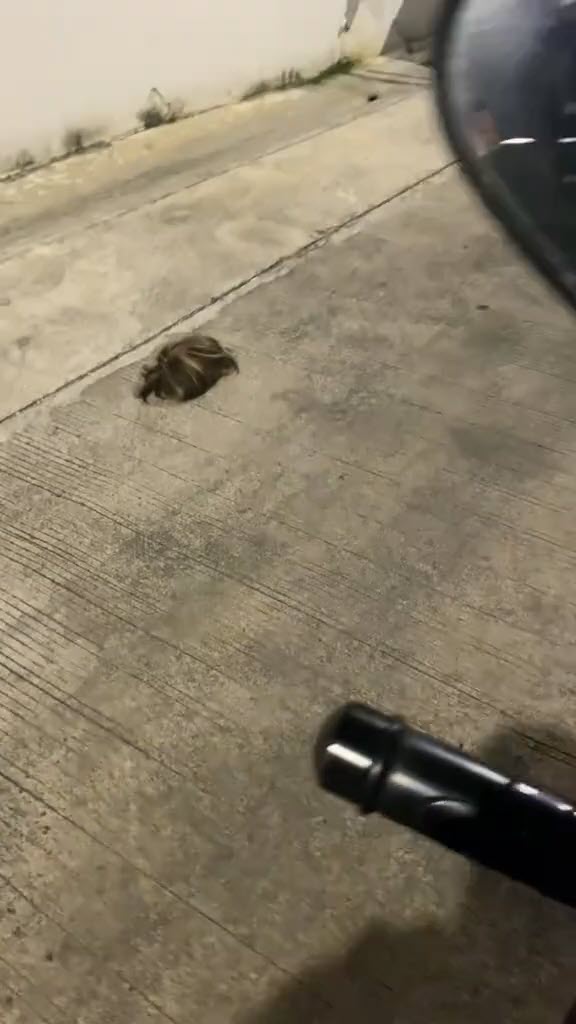 ไรเดอร์รับลูกค้า ไรเดอร์รับลูกค้า