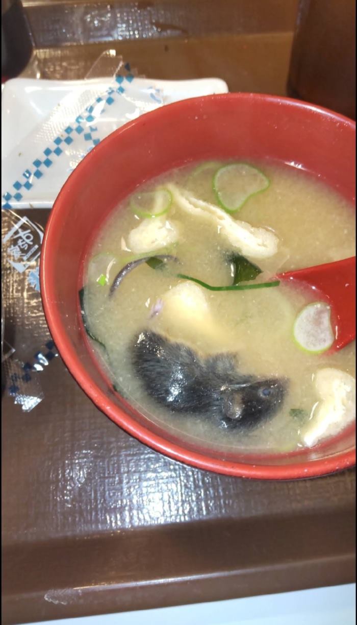 ลูกค้าโวย หนูในถ้วยซุป ลูกค้าโวย หนูในถ้วยซุป