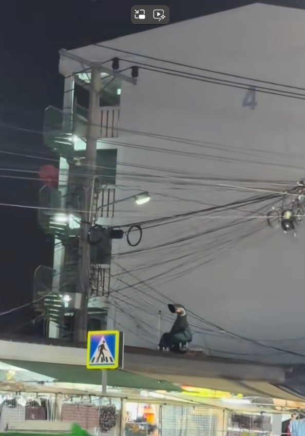 ความจริงของไรเดอร์บนหลังคา ความจริงของไรเดอร์บนหลังคา