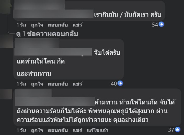 หมึกบลูริง หมึกบลูริง