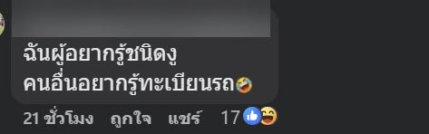 งูในหมวกกันน็อก งูในหมวกกันน็อก