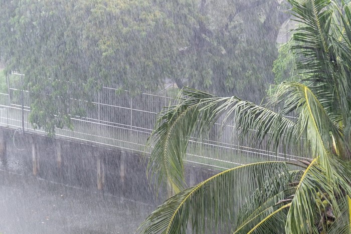 พยากรณ์อากาศ พยากรณ์อากาศ