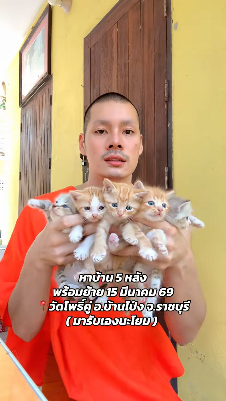 พระศรัณย์ พระหล่อ พระศรัณย์ พระหล่อ