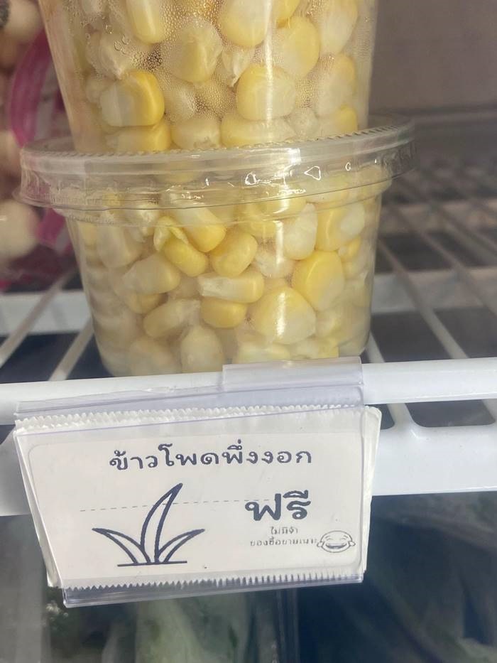 ข้าวโพด ข้าวโพด