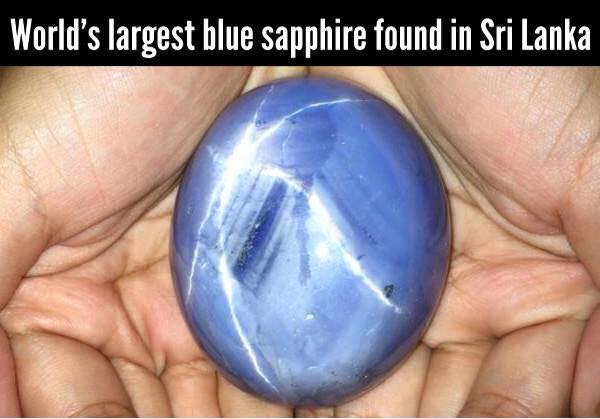 บลูสตาร์แซฟไฟร์ บลูสตาร์แซฟไฟร์