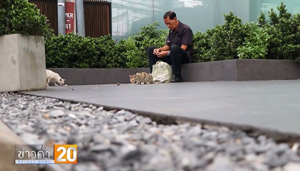 ลุงเล็ก รภป. ใจบุญ นำอาหารเลี้ยงแมวจรจัด ลุงเล็ก รภป. ใจบุญ นำอาหารเลี้ยงแมวจรจัด