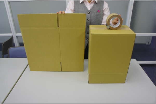 แผ่นดินไหวคุมาโมโตะ แผ่นดินไหวคุมาโมโตะ