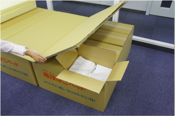 แผ่นดินไหวคุมาโมโตะ แผ่นดินไหวคุมาโมโตะ