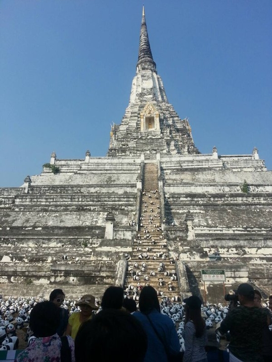 ช้างไทยทาสีเหมือนหมีแพนด้า ช้างไทยทาสีเหมือนหมีแพนด้า