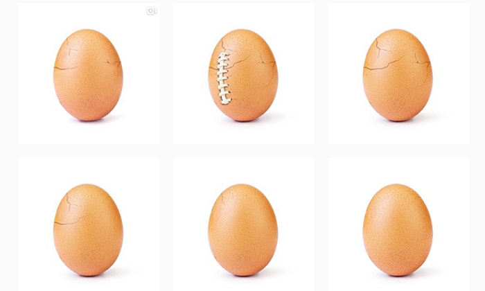 world record egg world record egg