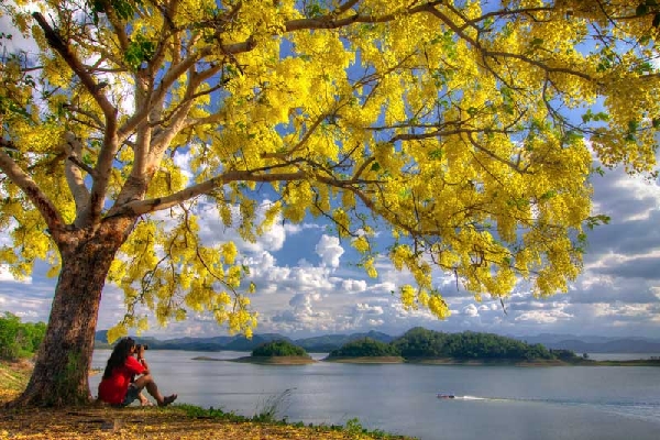 โครงการภาพถ่ายแห่งแผ่นดิน โครงการภาพถ่ายแห่งแผ่นดิน