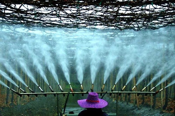 โครงการภาพถ่ายแห่งแผ่นดิน โครงการภาพถ่ายแห่งแผ่นดิน