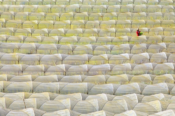 โครงการภาพถ่ายแห่งแผ่นดิน โครงการภาพถ่ายแห่งแผ่นดิน