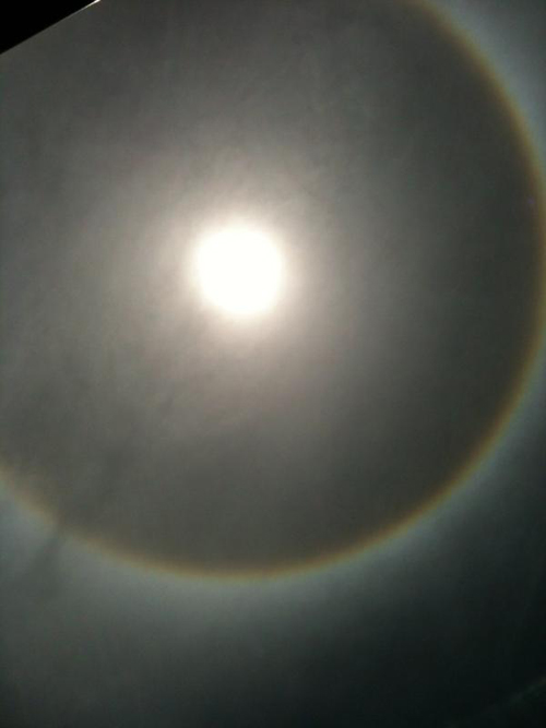 ปรากฏการณ์พระอาทิตย์ทรงกลด