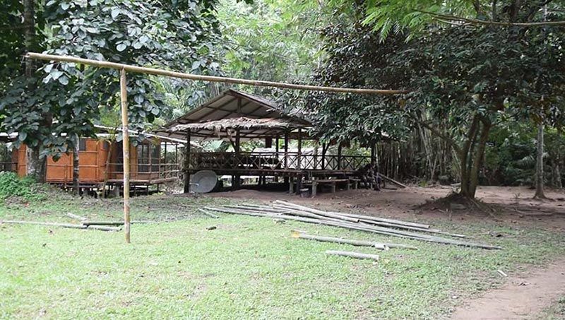 ฆ่าหมีขอ ฆ่าหมีขอ