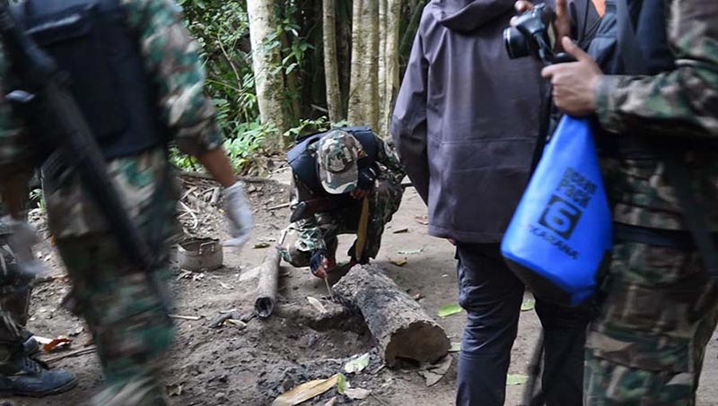 ฆ่าหมีขอ ฆ่าหมีขอ