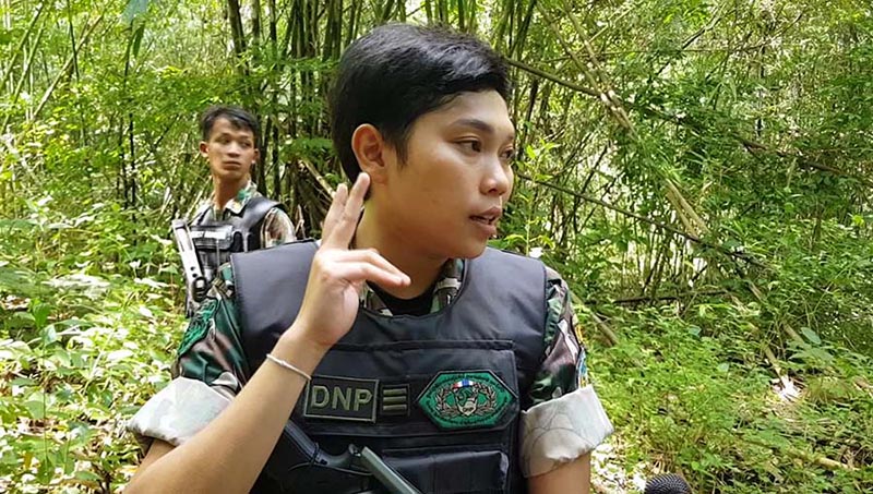 ฆ่าหมีขอ ฆ่าหมีขอ