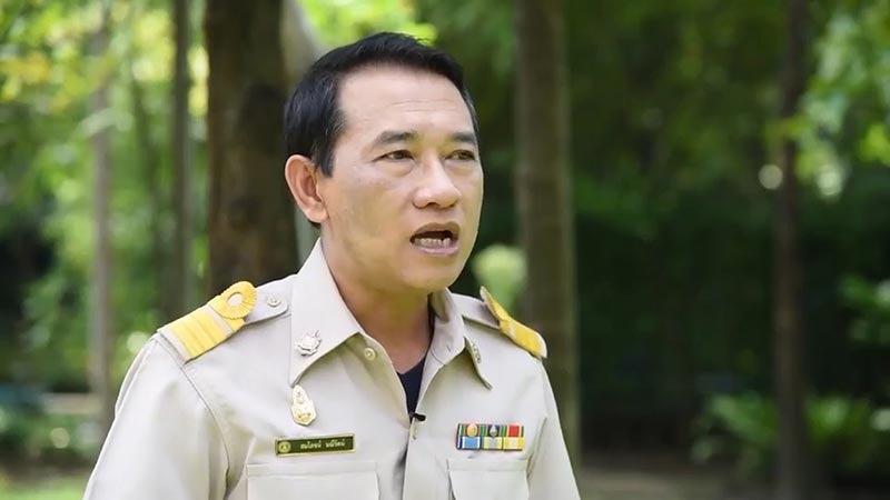 ฆ่าหมีขอ ฆ่าหมีขอ