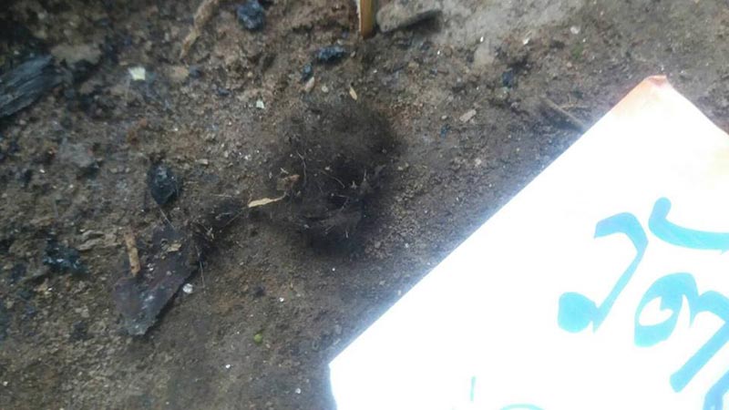 ฆ่าหมีขอ ฆ่าหมีขอ