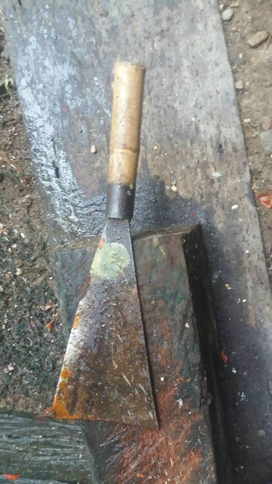 ฆ่าหมีขอ ฆ่าหมีขอ