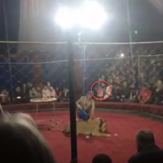 สิงโตทำร้ายคน สิงโตทำร้ายคน