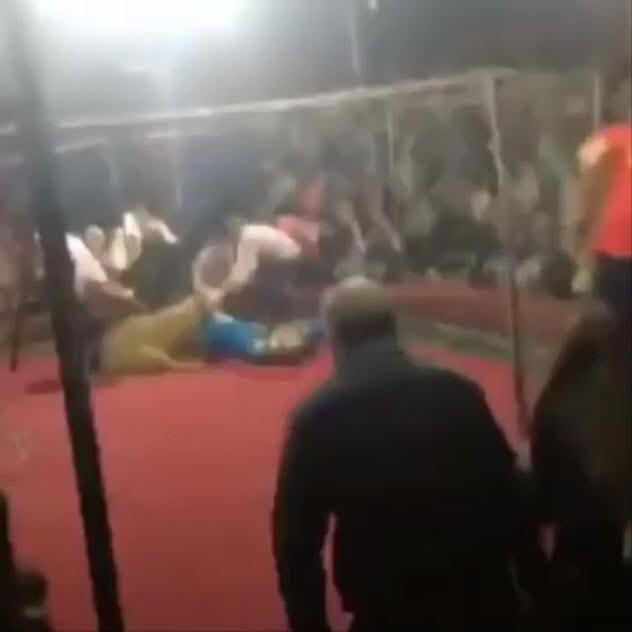 สิงโตทำร้ายคน สิงโตทำร้ายคน