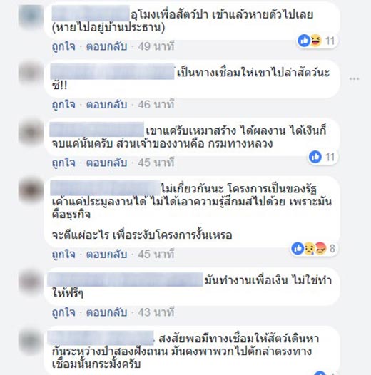 ล่าสัตว์ป่า ล่าสัตว์ป่า