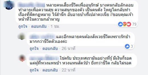 ล่าสัตว์ป่า ล่าสัตว์ป่า