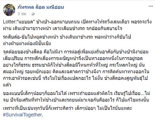 ช้างสีดอ ช้างสีดอ