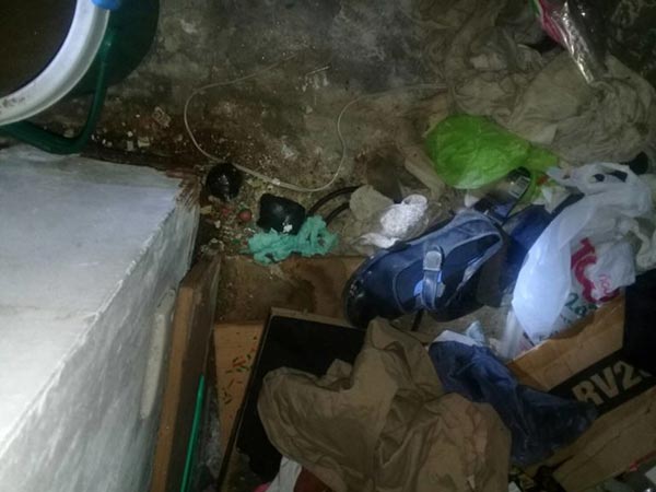 โกตี๋ เสื้อแดง โกตี๋ เสื้อแดง