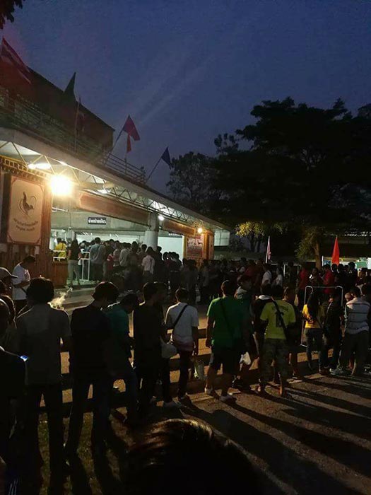 ไก่ชน ไก่ชน