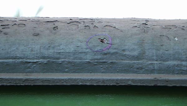 ยิงรถไฟ ยิงรถไฟ