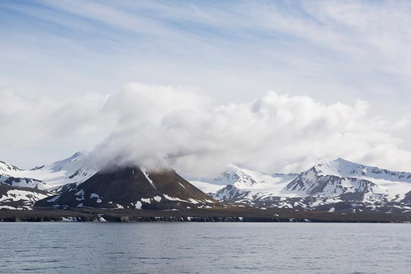 เรื่องแปลก เรื่องแปลก