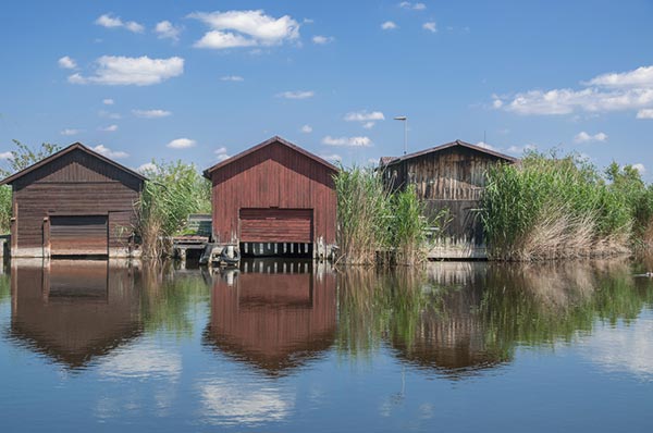 ฆ่าหั่นศพ ฆ่าหั่นศพ