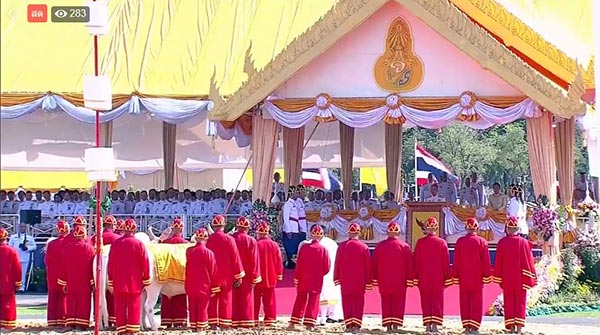 วันพืชมงคล วันพืชมงคล