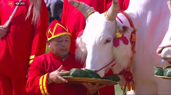 วันพืชมงคล วันพืชมงคล