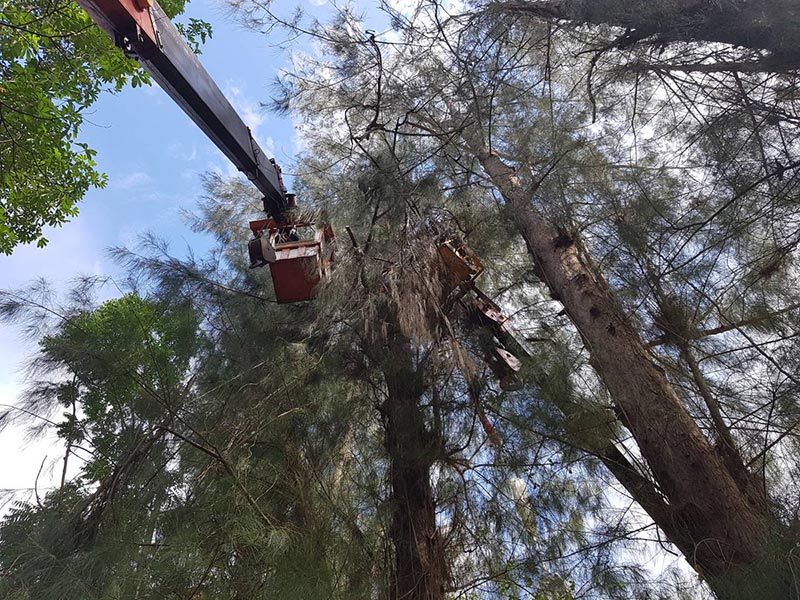 เครื่องบินซ้อมรบตก เครื่องบินซ้อมรบตก