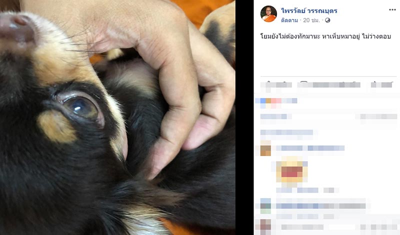 พระมหาไพรวัลย์ พระมหาไพรวัลย์