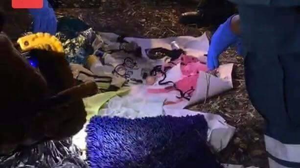 ฆ่าหั่นศพ ฆ่าหั่นศพ