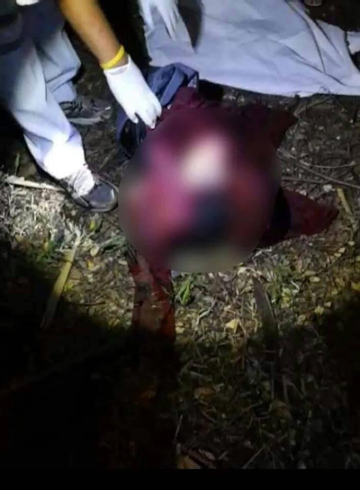 ฆ่าหั่นศพ ฆ่าหั่นศพ