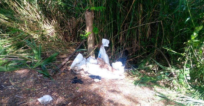 ฆ่าหั่นศพ ฆ่าหั่นศพ